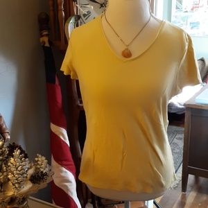Ann Taylor v-neck top